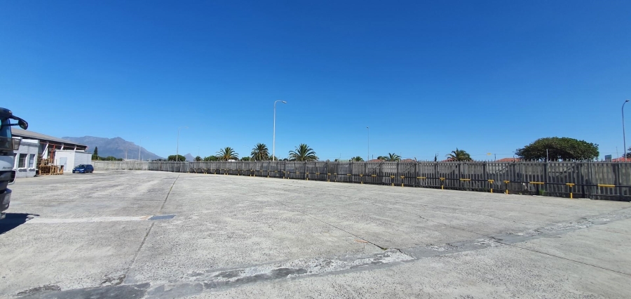 To Let commercial Property for Rent in Epping Industrial Western Cape